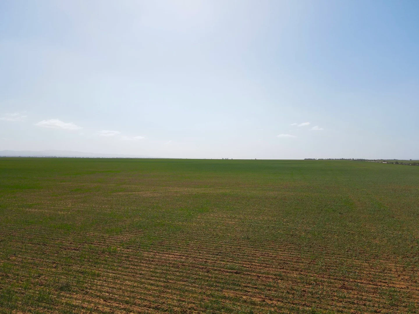 Additional image 2 of 'Daly's' Collins Road, Willowie SA 5431