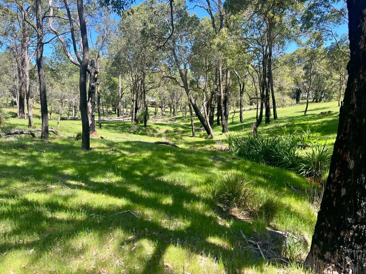 Additional image 20 of 59 Lyons Road, Waroona WA 6215