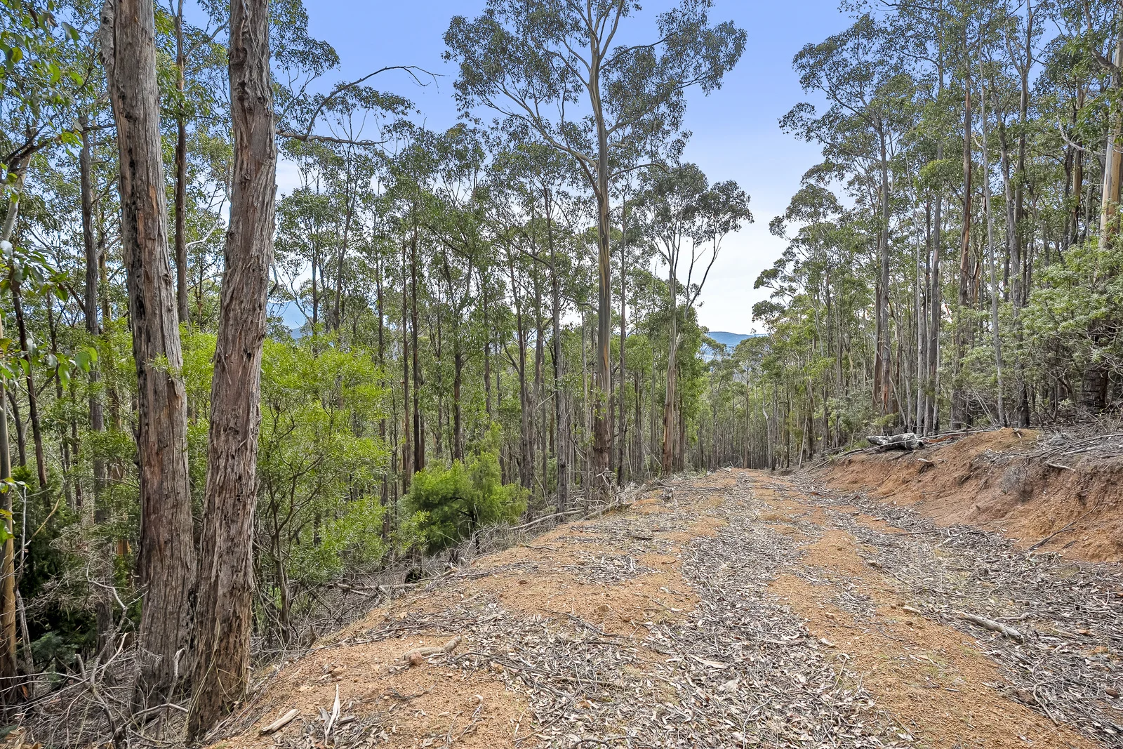 Additional image 12 of 35 Valley View Road, Margate TAS 7054