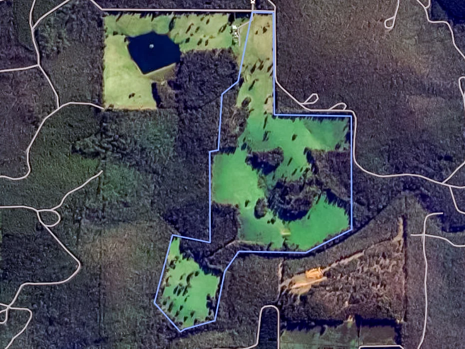Additional image 8 of Lot 4 Kammann Road (Upper Warren), Manjimup WA 6258