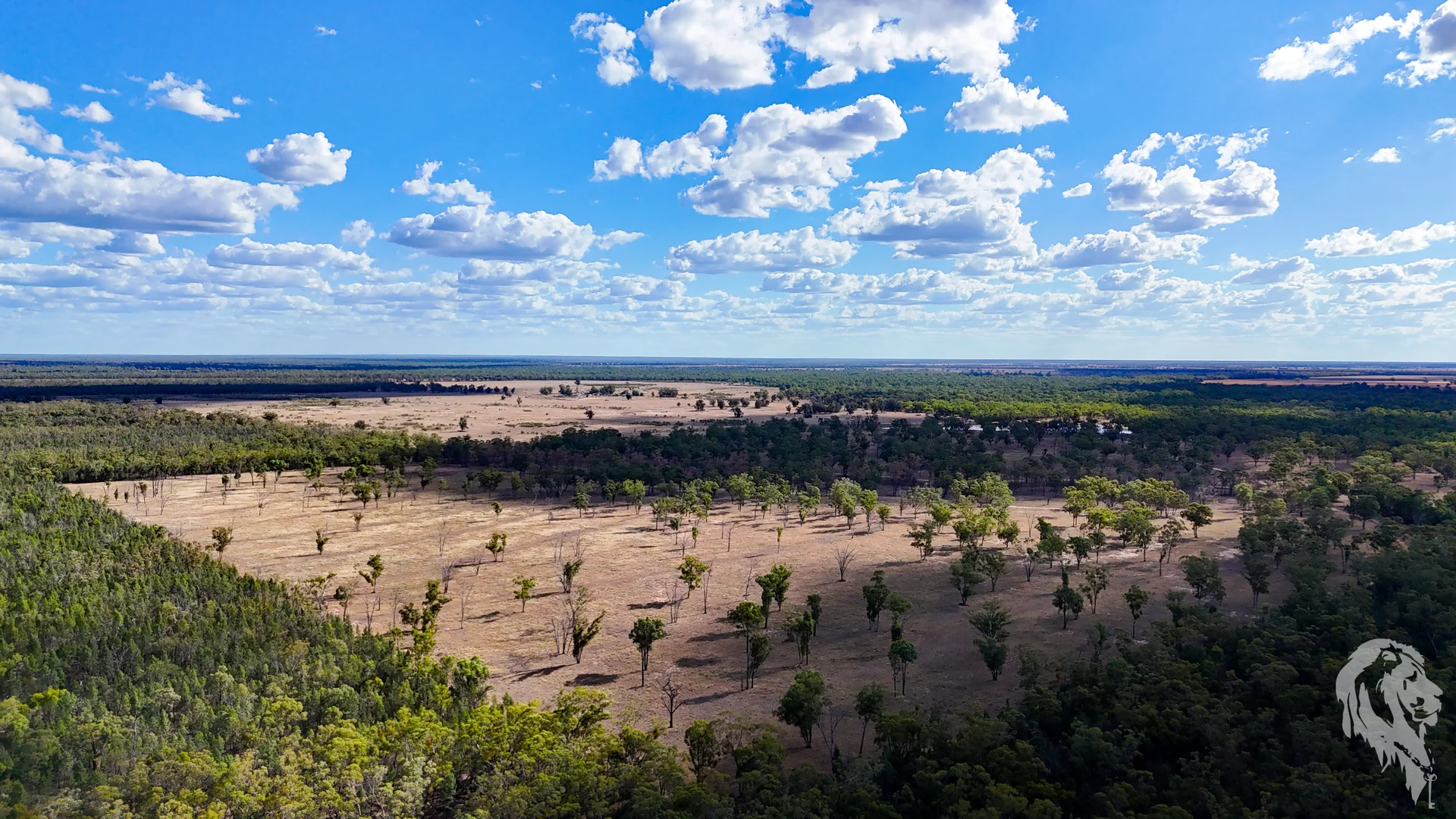 Additional image 34 of 10402 Newell Highway, Jacks Creek NSW 2390