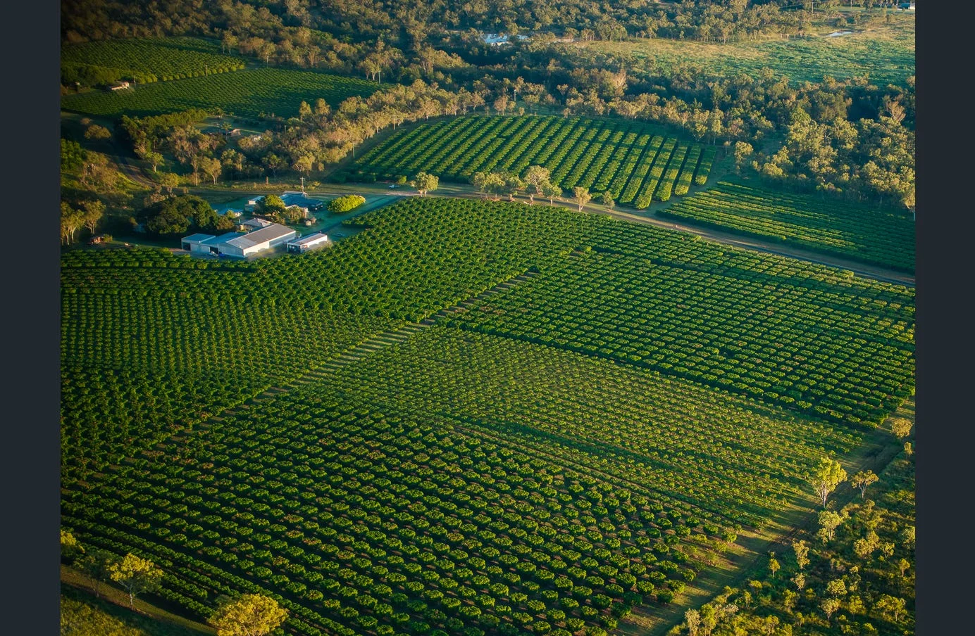 Additional image 16 of 85 Schincariol Road, Dimbulah QLD 4872