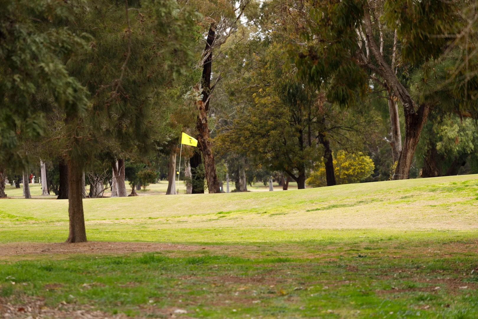 Additional image 3 of 36 Brookwater Crescent, Tatura VIC 3616