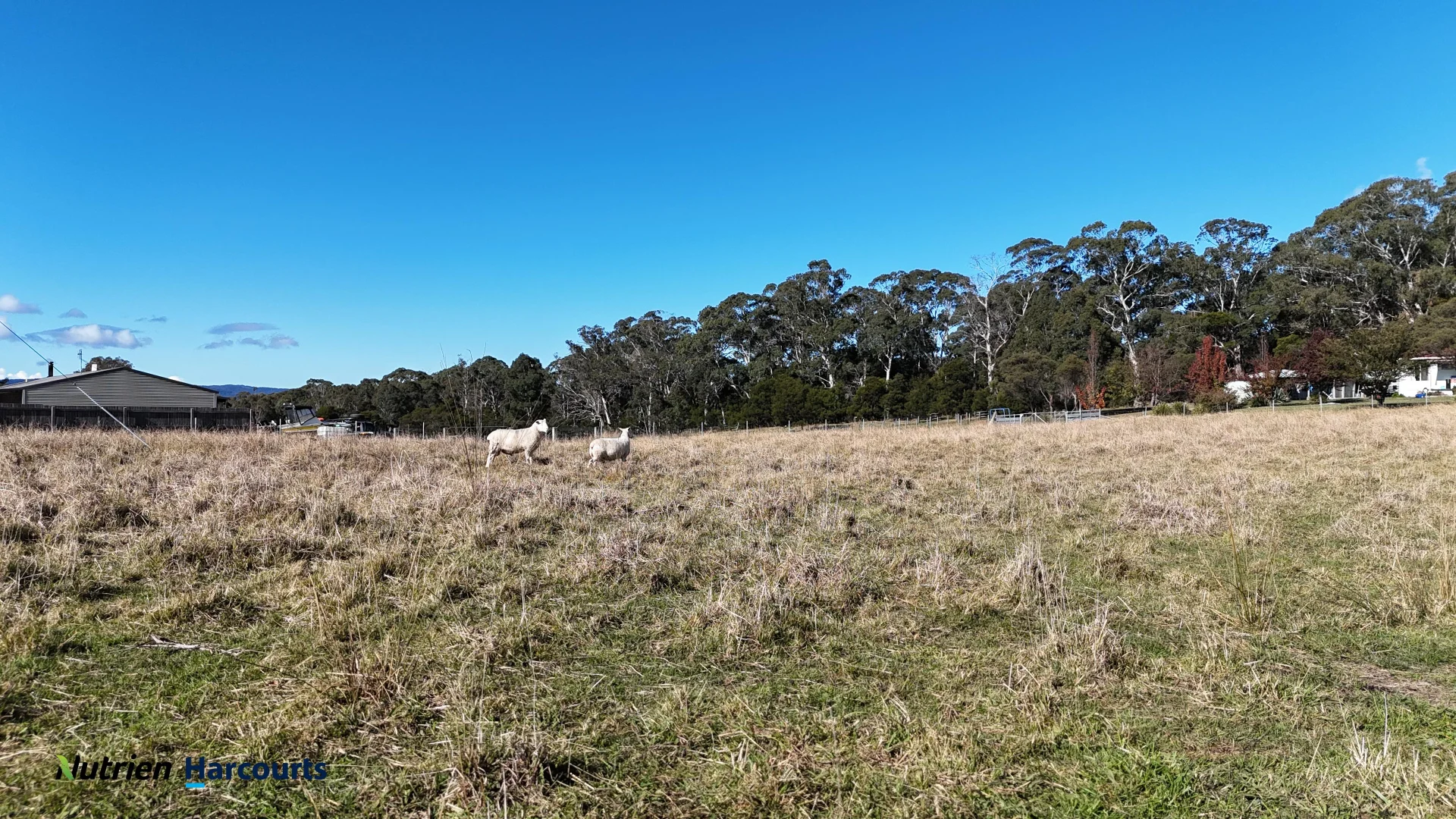 Additional image 3 of 5A King Street, Majors Creek NSW 2622