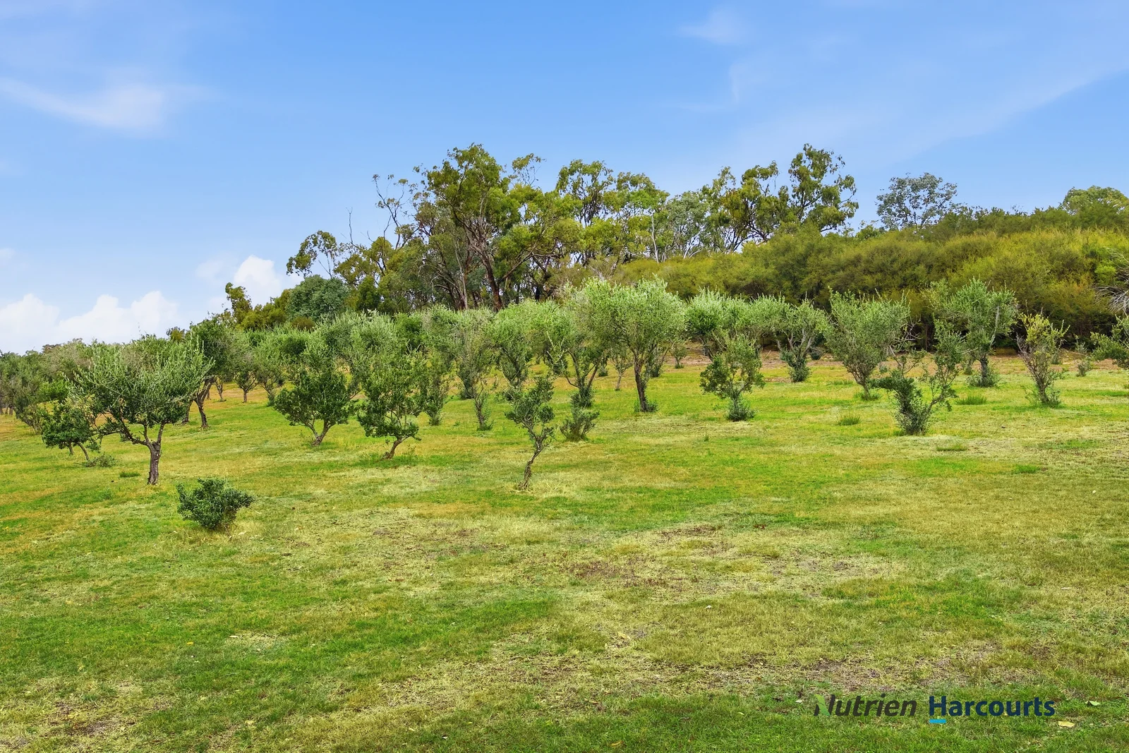 Additional image 22 of 72 Alford Avenue, Eildon VIC 3713