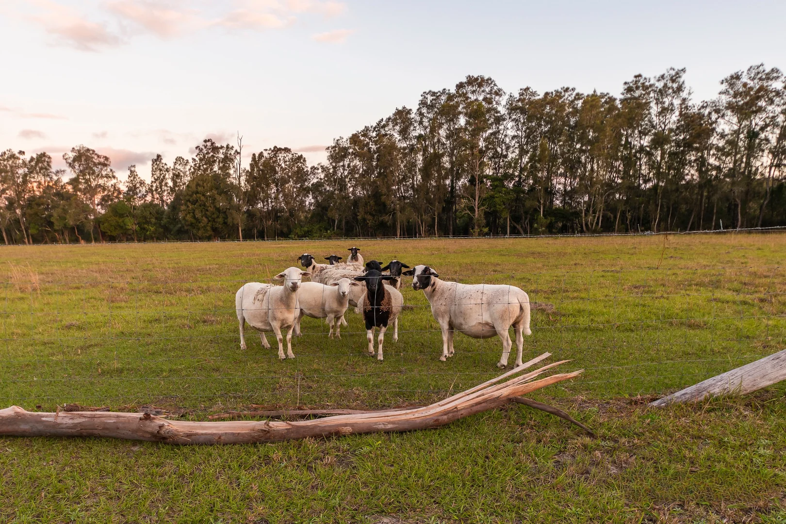 Additional image 11 of 23 Longworths Road, Harrington NSW 2427