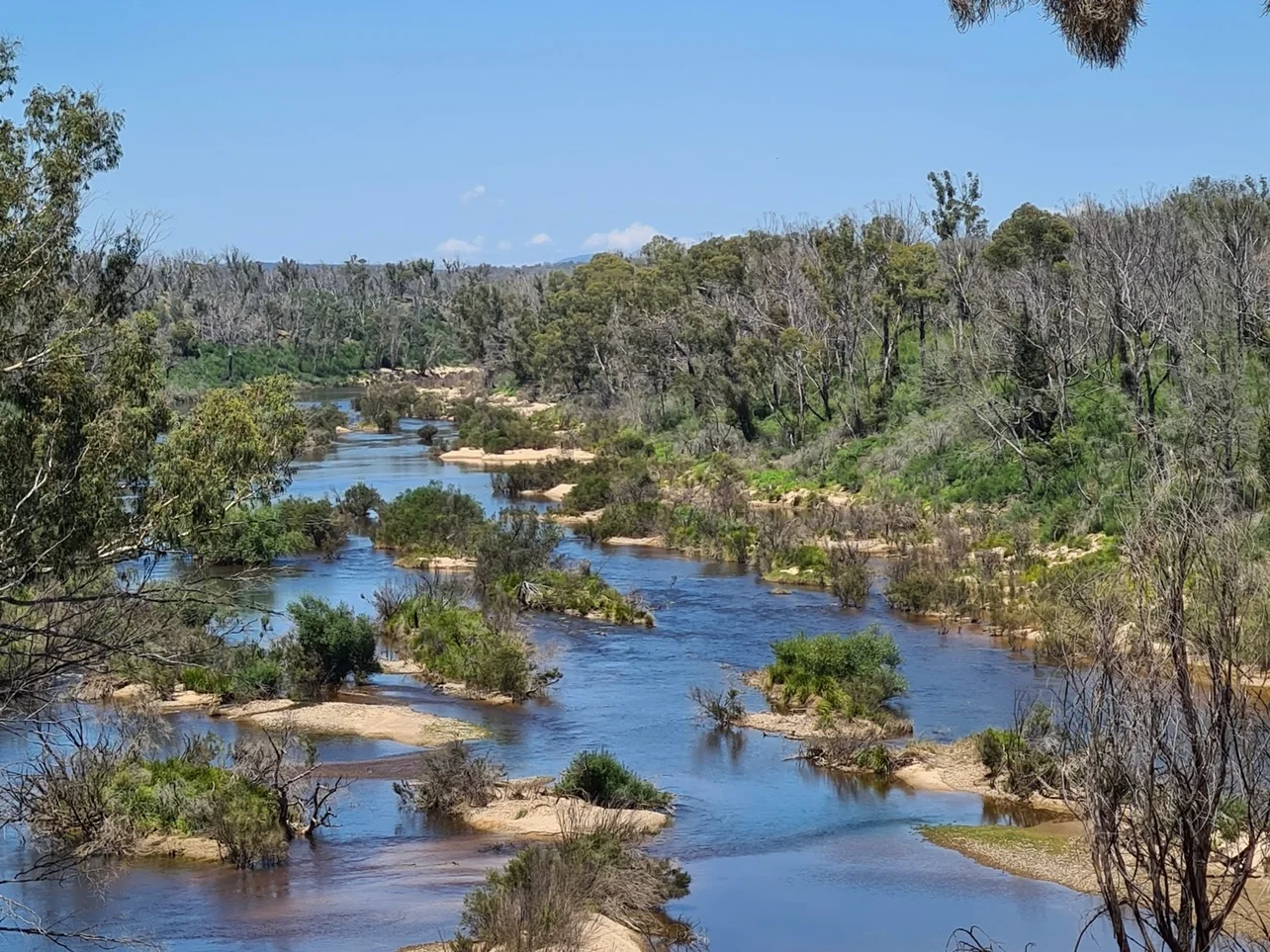Additional image 27 of Tomboye NSW 2622