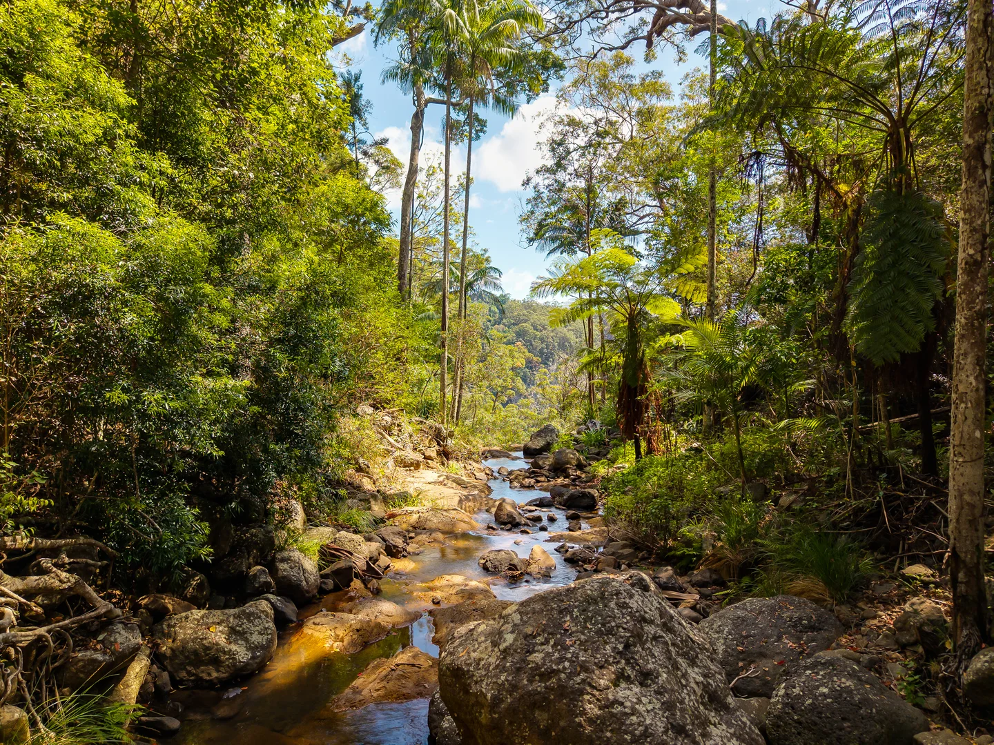 Additional image 29 of 195-275 Kaiser Road, Tamborine Mountain QLD 4272