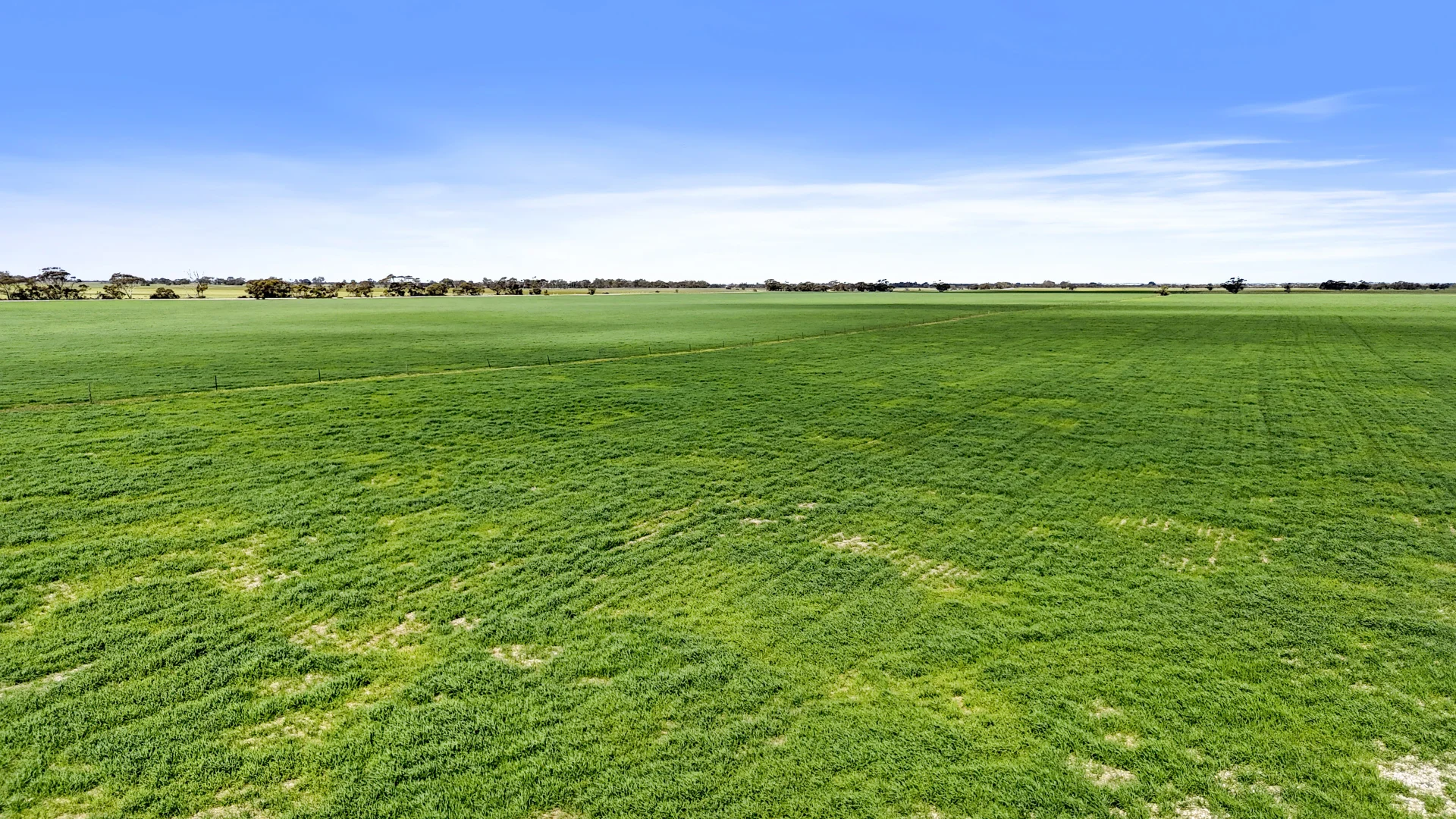 Additional image 21 of 378 Jones Road, Yumali SA 5261