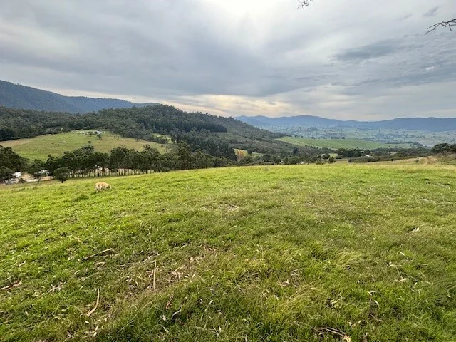 8102 Dargo Rd, Dargo VIC 3862