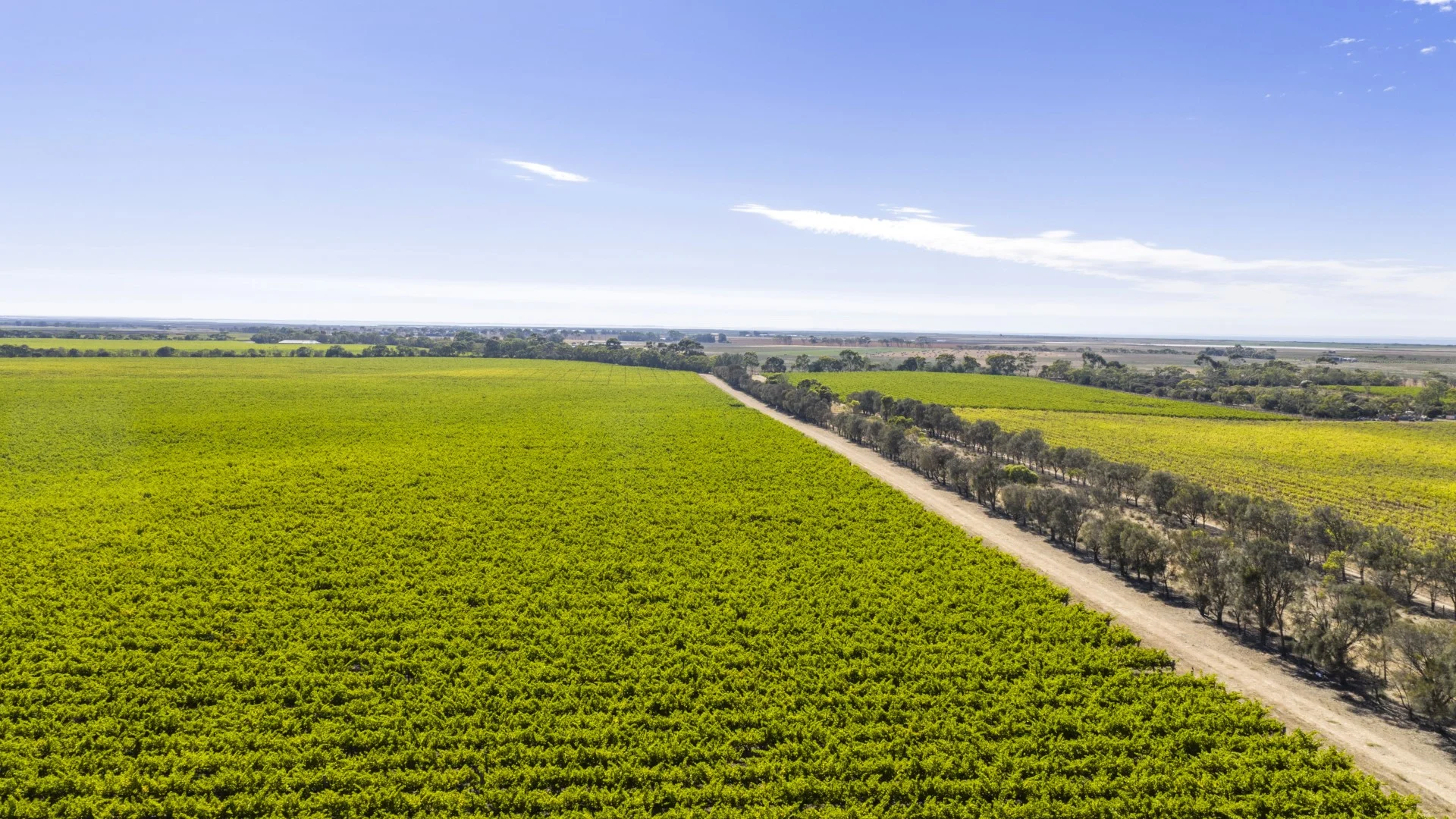 Additional image 6 of 261 Marandoo Road, Langhorne Creek SA 5255