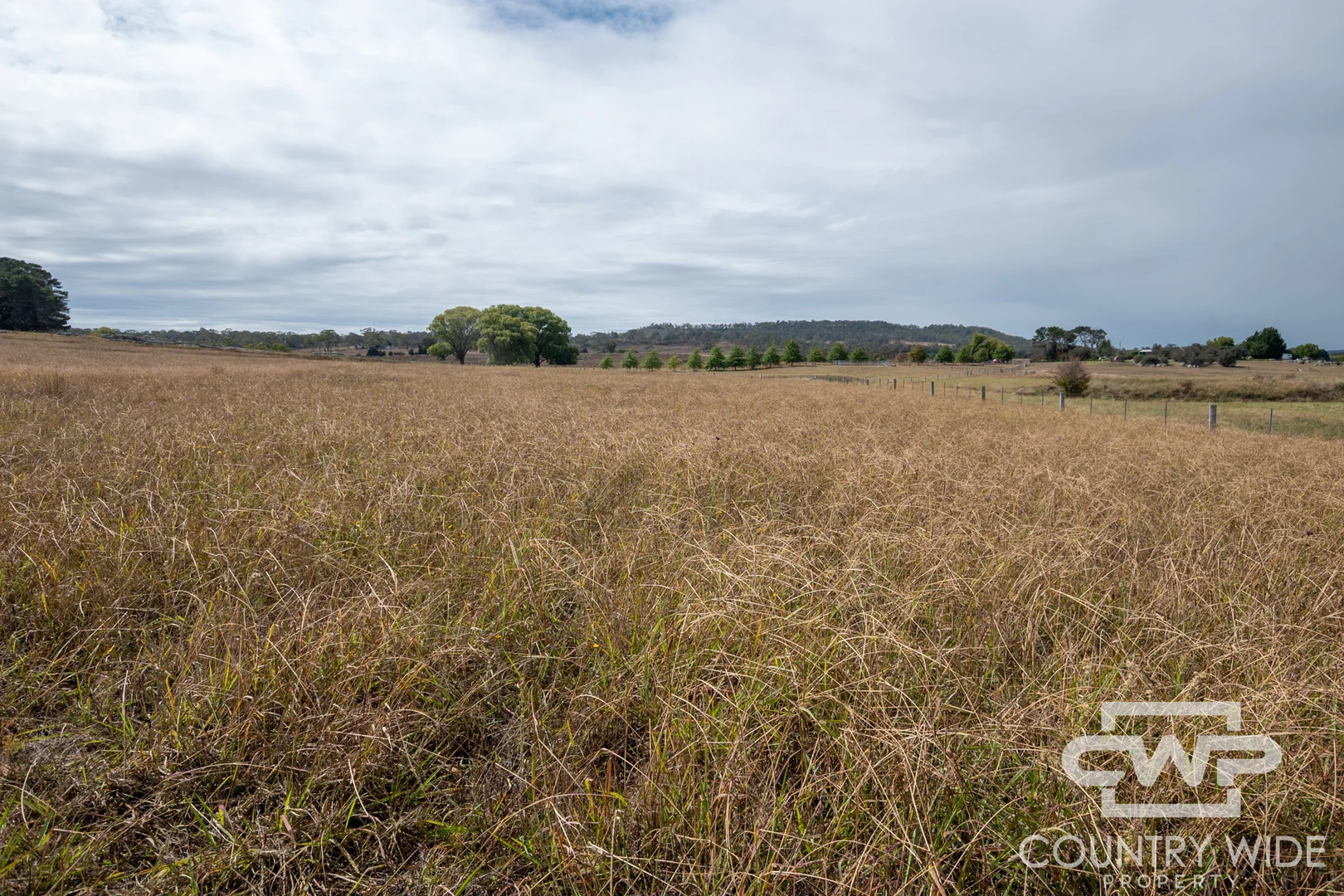 Additional image 11 of 172 Hazelwood Road, Stonehenge NSW 2370
