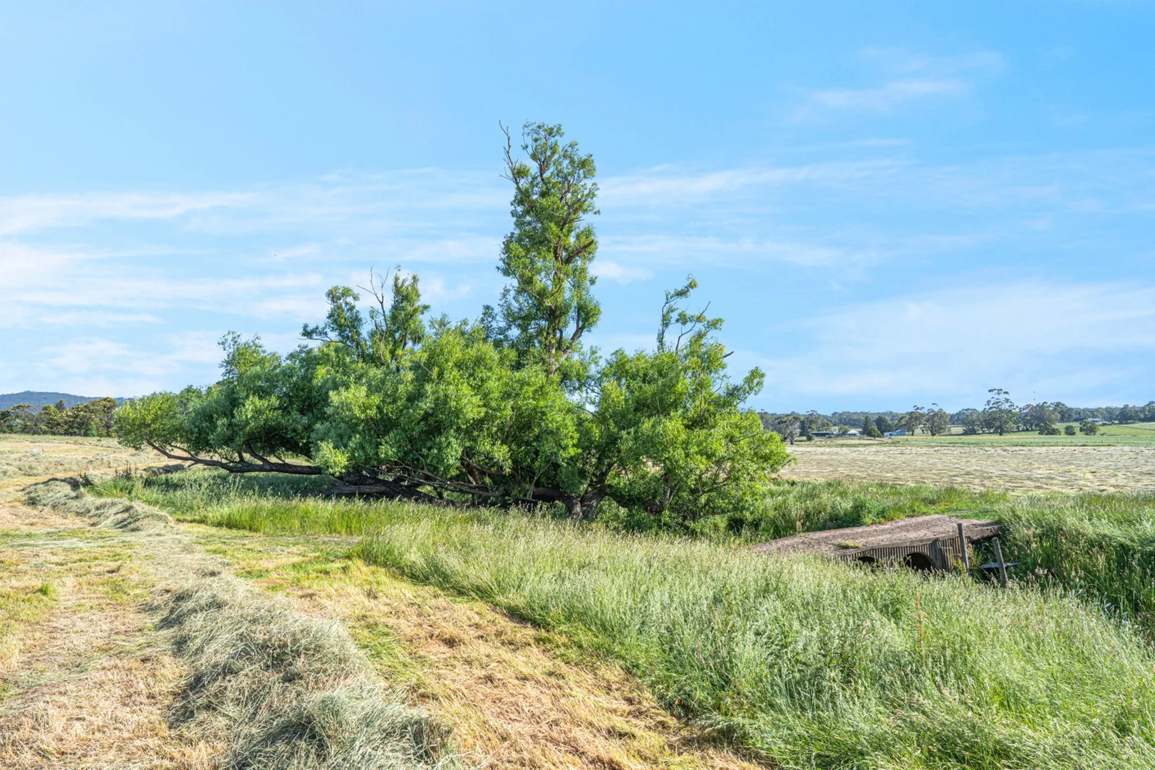 Additional image 5 of 1530 Birregurra-Forrest Road, Barwon Downs VIC 3243