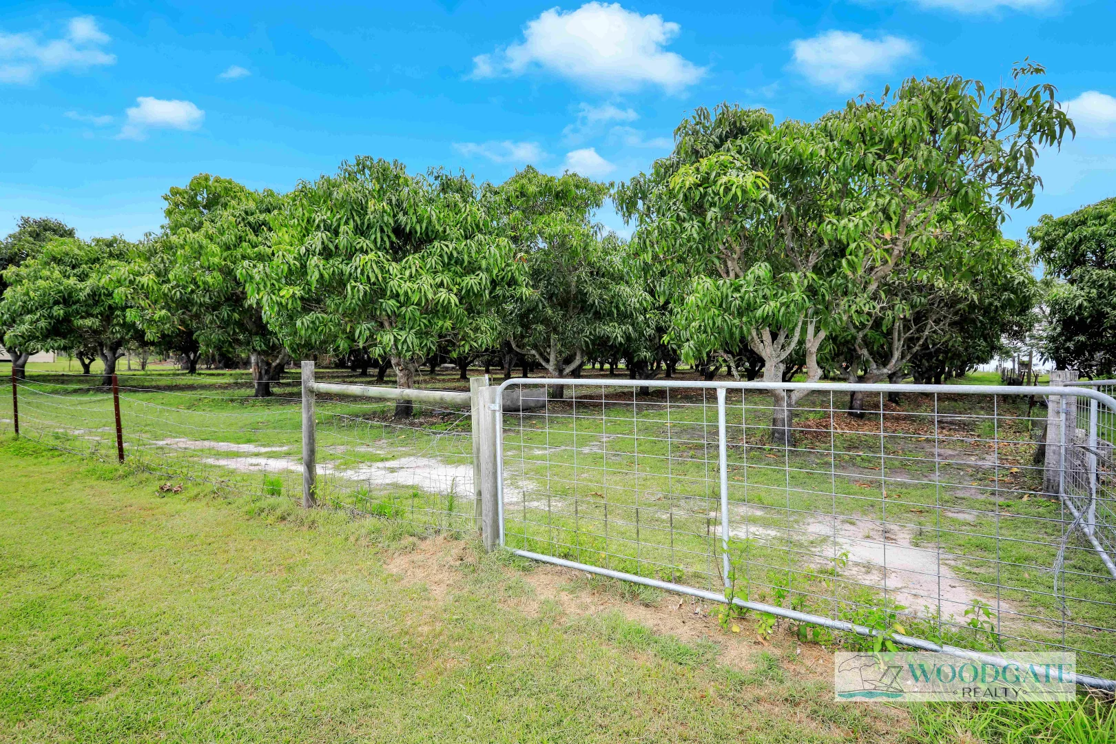 Additional image 31 of 243 WOODGATE ROAD, Goodwood QLD 4660