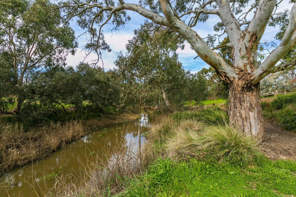 Additional image 6 of 2/53 Main Street, Winchelsea VIC 3241