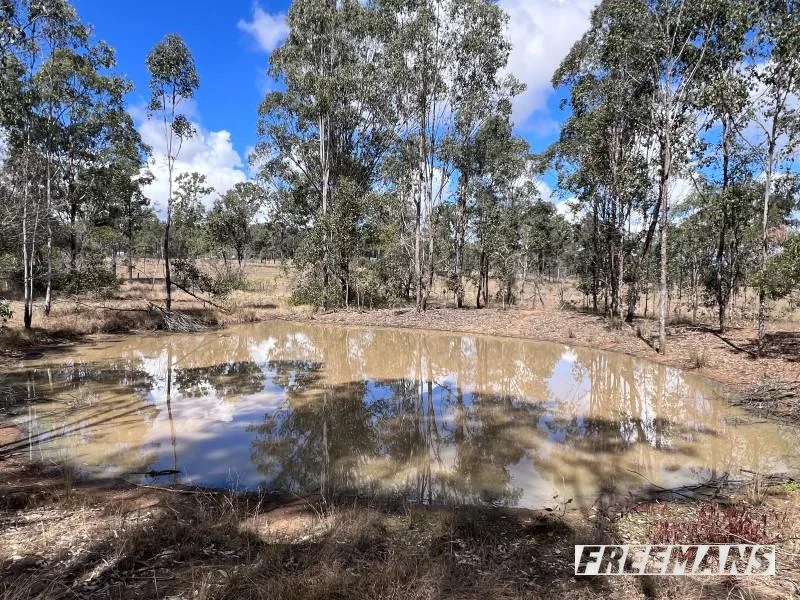 Additional image 26 of 316 Wattle Camp Road, Wattle Camp QLD 4615