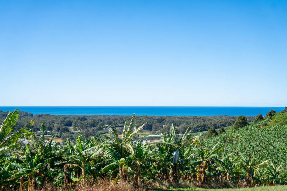 Additional image 9 of 20 Puhos Road, Sandy Beach NSW 2456
