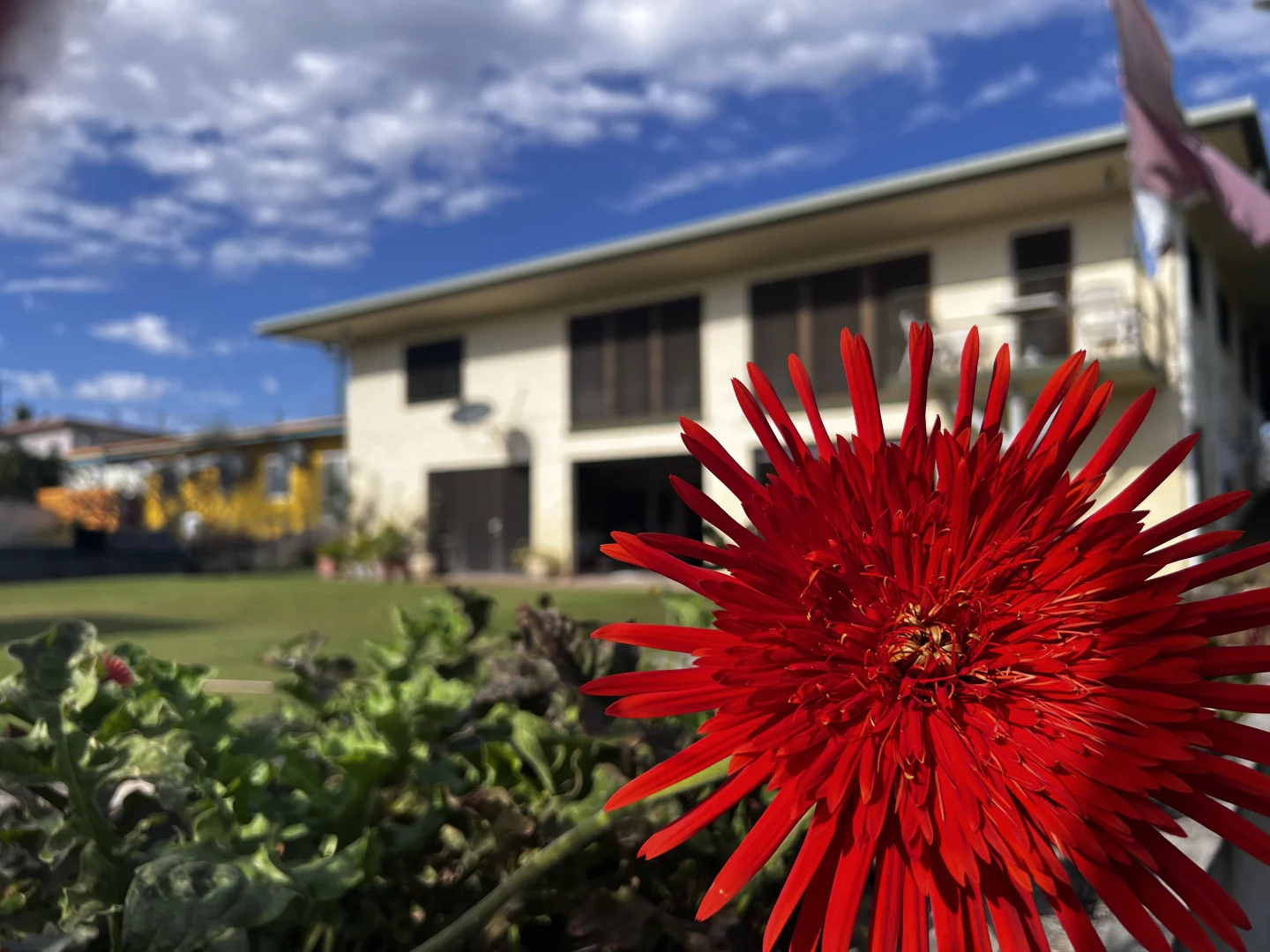 Additional image 2 of 39 Narrah Street, Alva QLD 4807