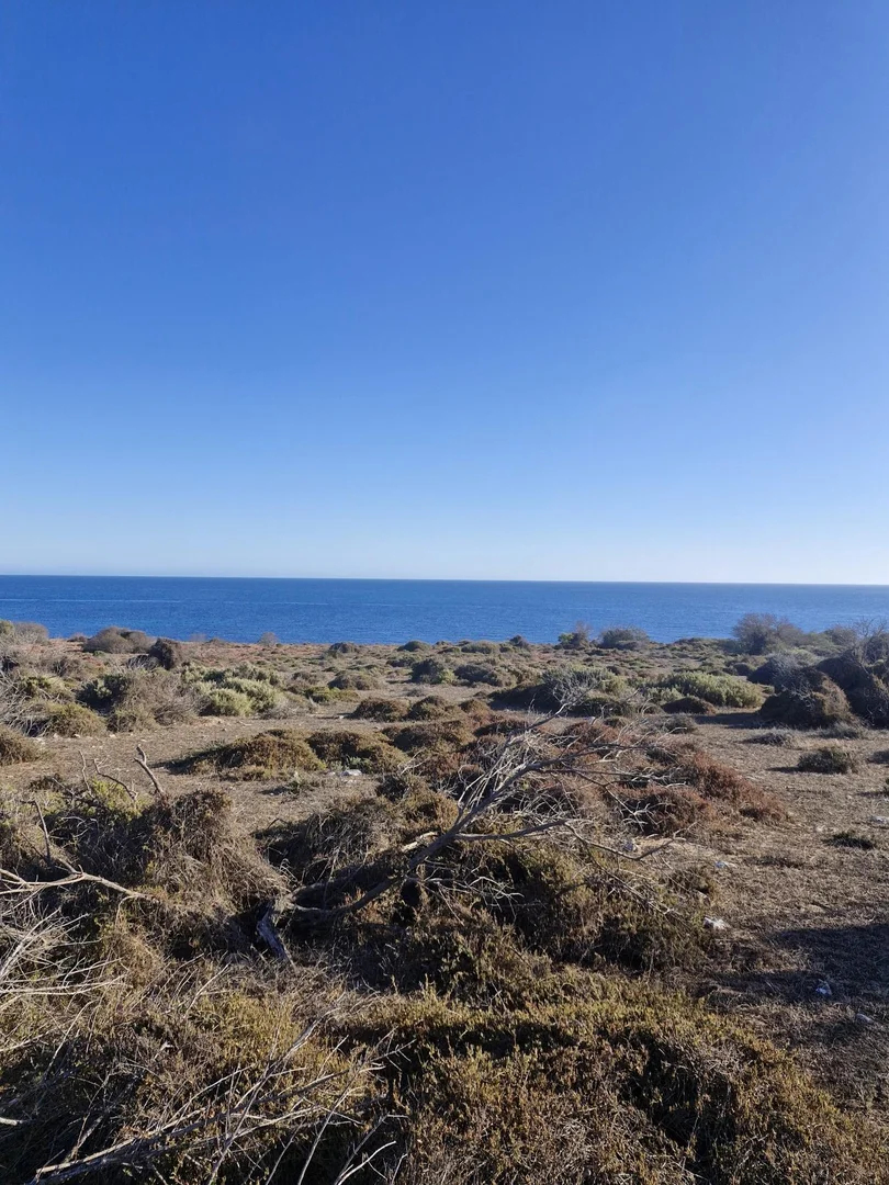 Additional image 15 of Lot 21 Spilsby Island, Port Lincoln SA 5606