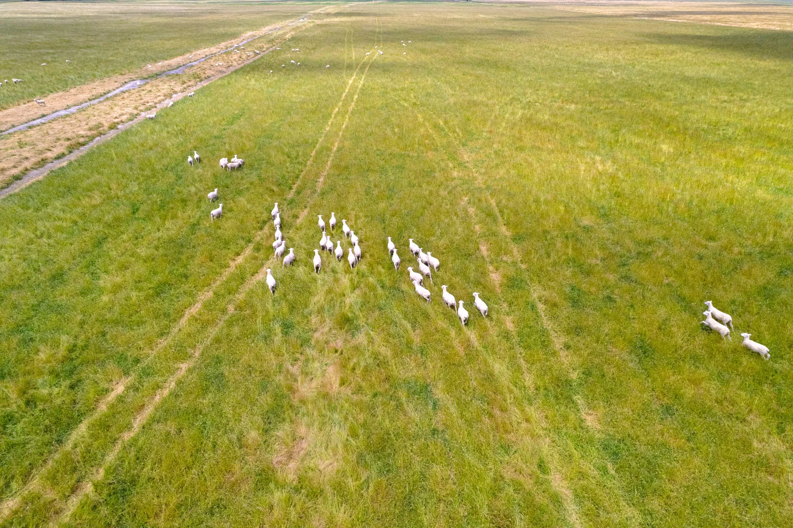 Additional image 9 of Lot 55 Princes Highway, Millicent SA 5280