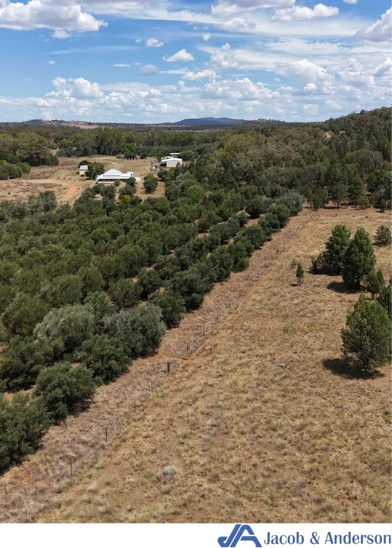 Additional image 23 of 169 Doubleday Road, Gunnedah NSW 2380