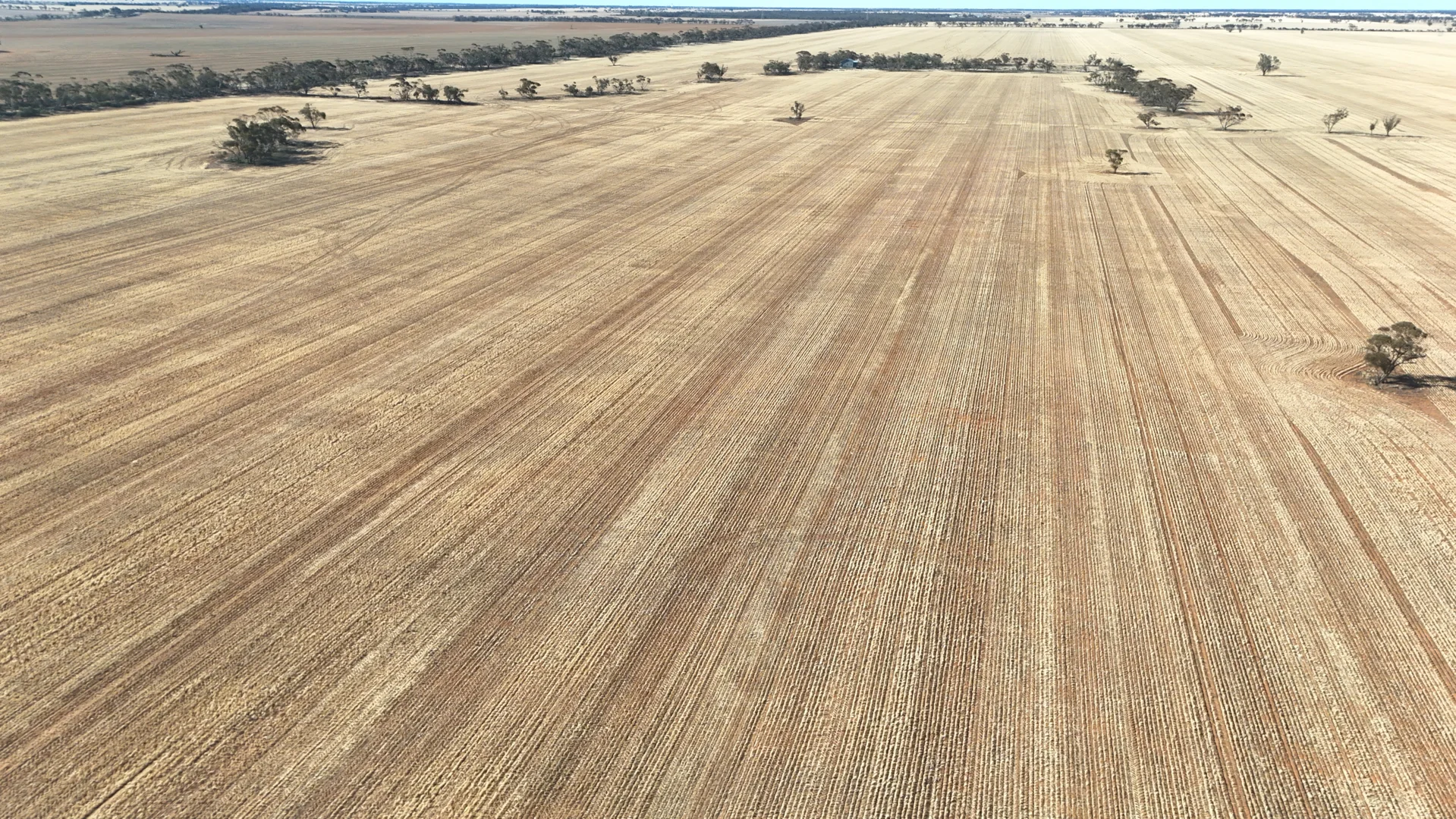 Additional image 12 of 'Anglea & Ryan Lots' 434 Robinvale-Sea Lake Road, Chinkapook VIC 3546