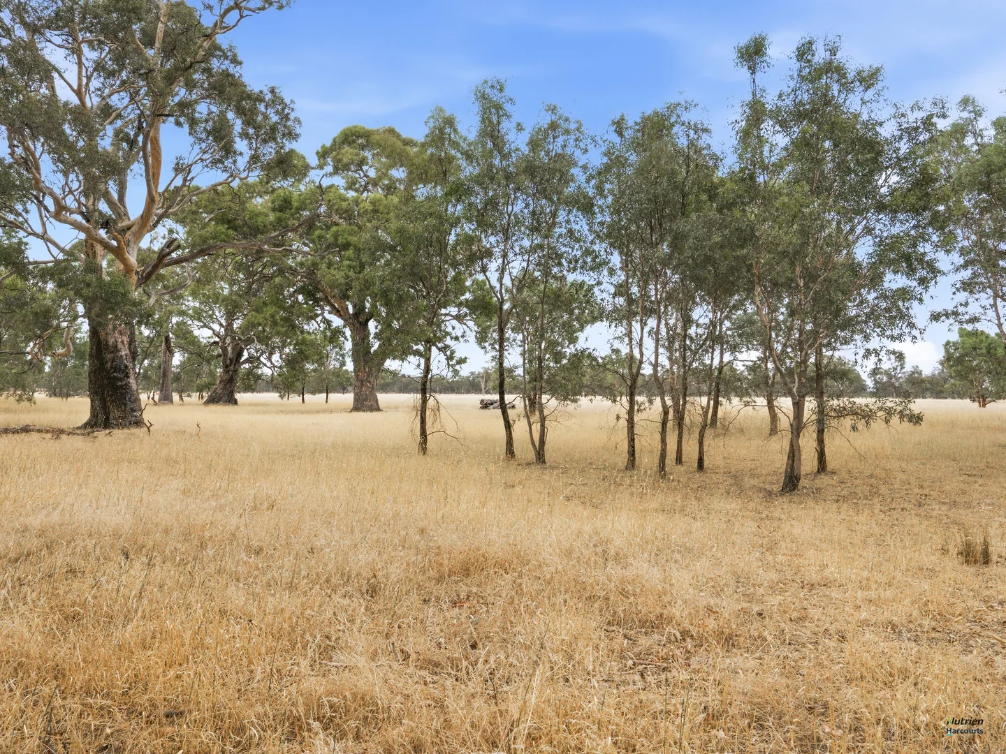 Additional image 15 of Cnr Burness Rd & Four Mile Rd, Benalla VIC 3672