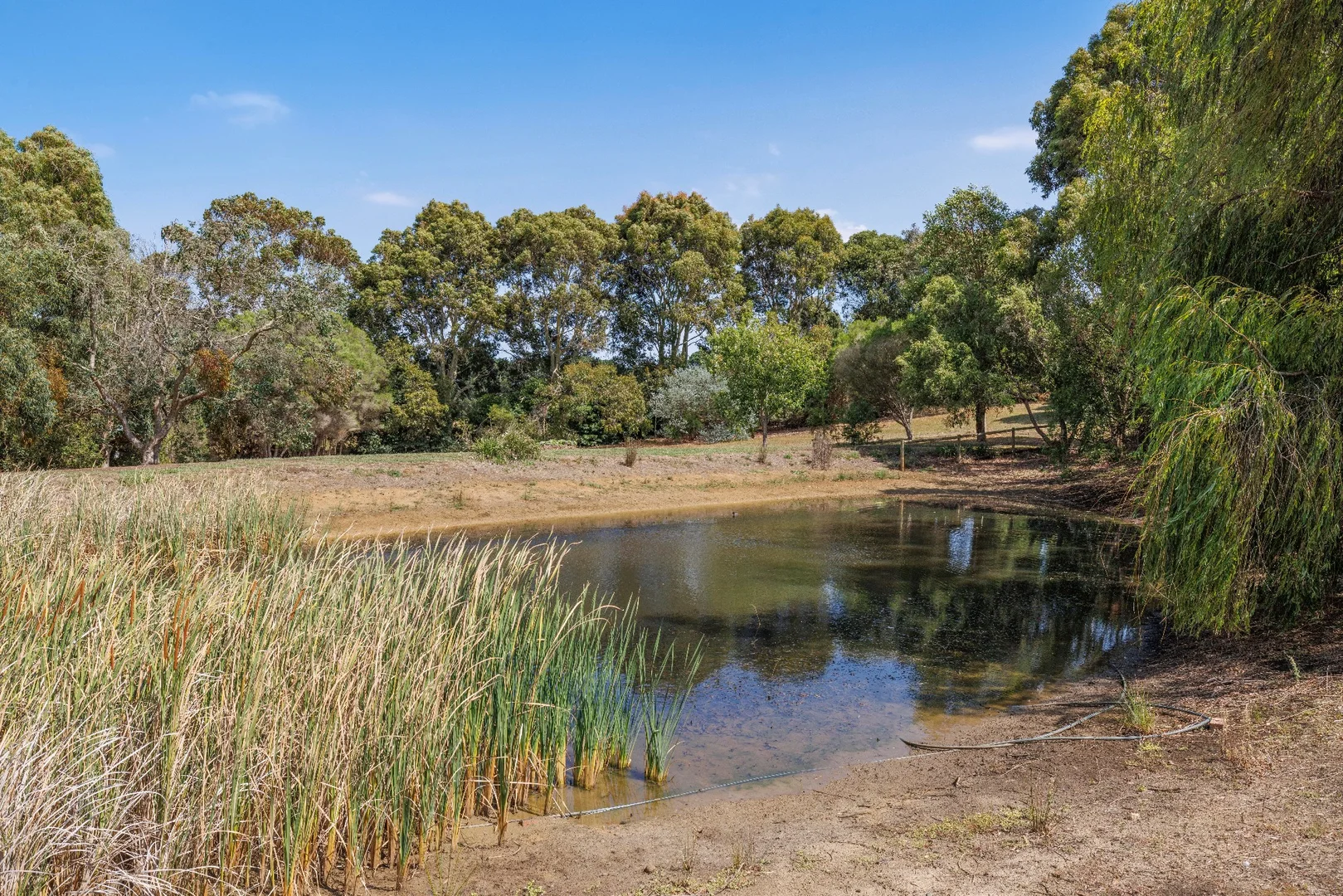 Additional image 12 of 345 Stumpy Gully Road, Balnarring VIC 3926
