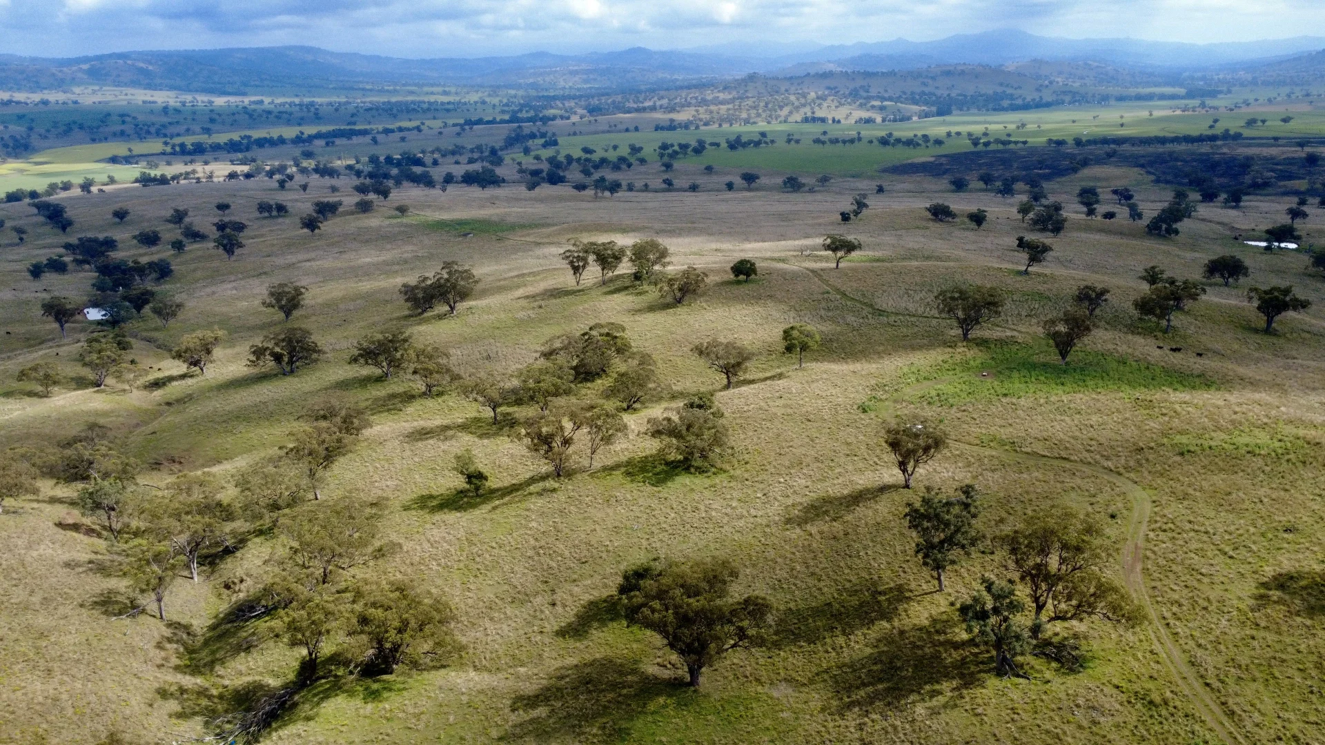Additional image 4 of 955 "Wirringulla" Coulsons Creek Road, Merriwa NSW 2329