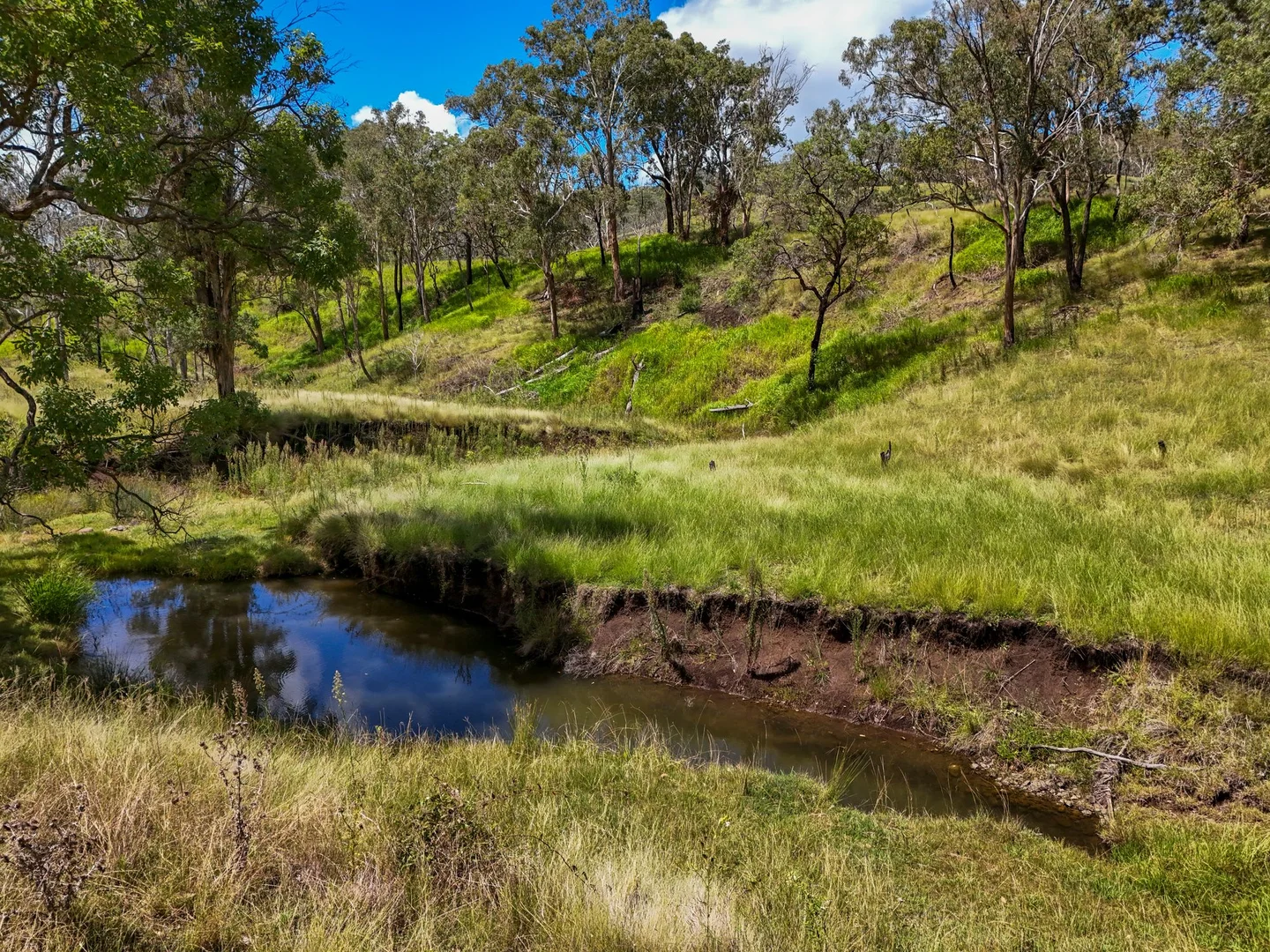 Additional image 21 of "PARADISE" 256 Paradise Road, Mount Sylvia QLD 4343