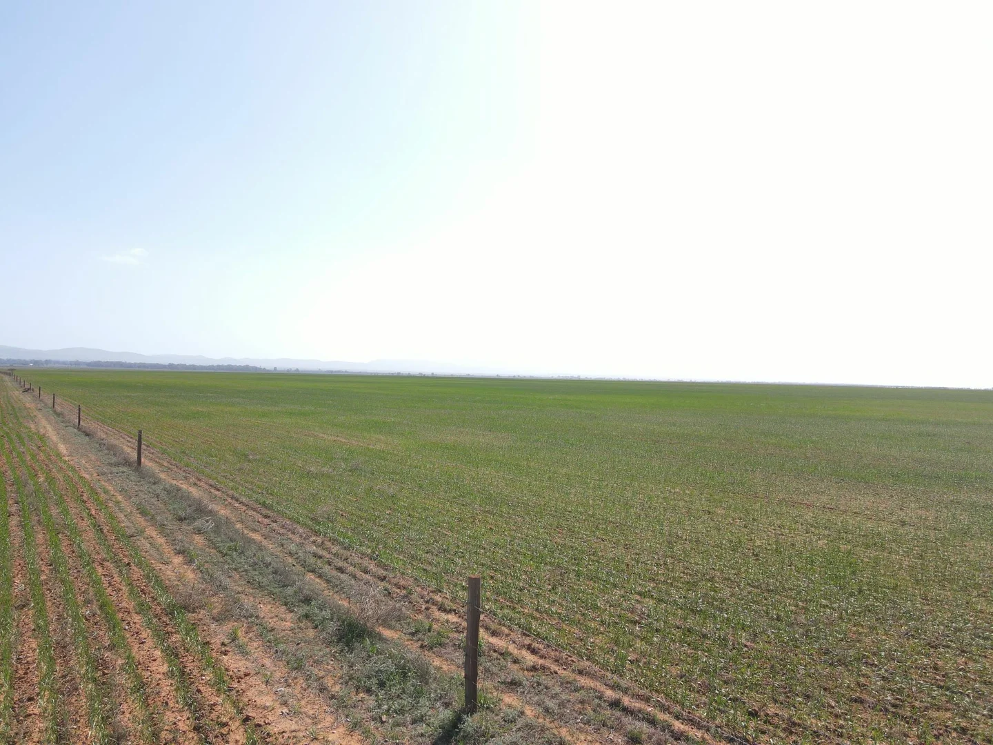 Additional image 6 of 'Daly's' Collins Road, Willowie SA 5431