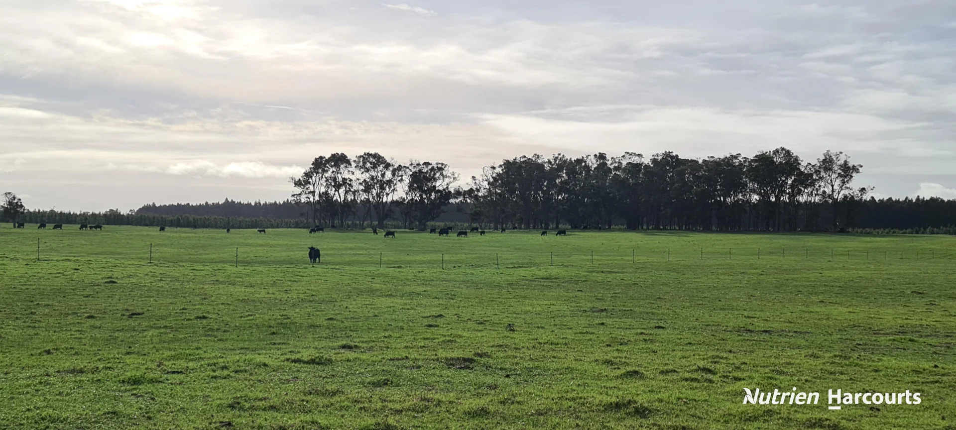 Additional image 30 of 2003 Settlement Road, Napier WA 6330