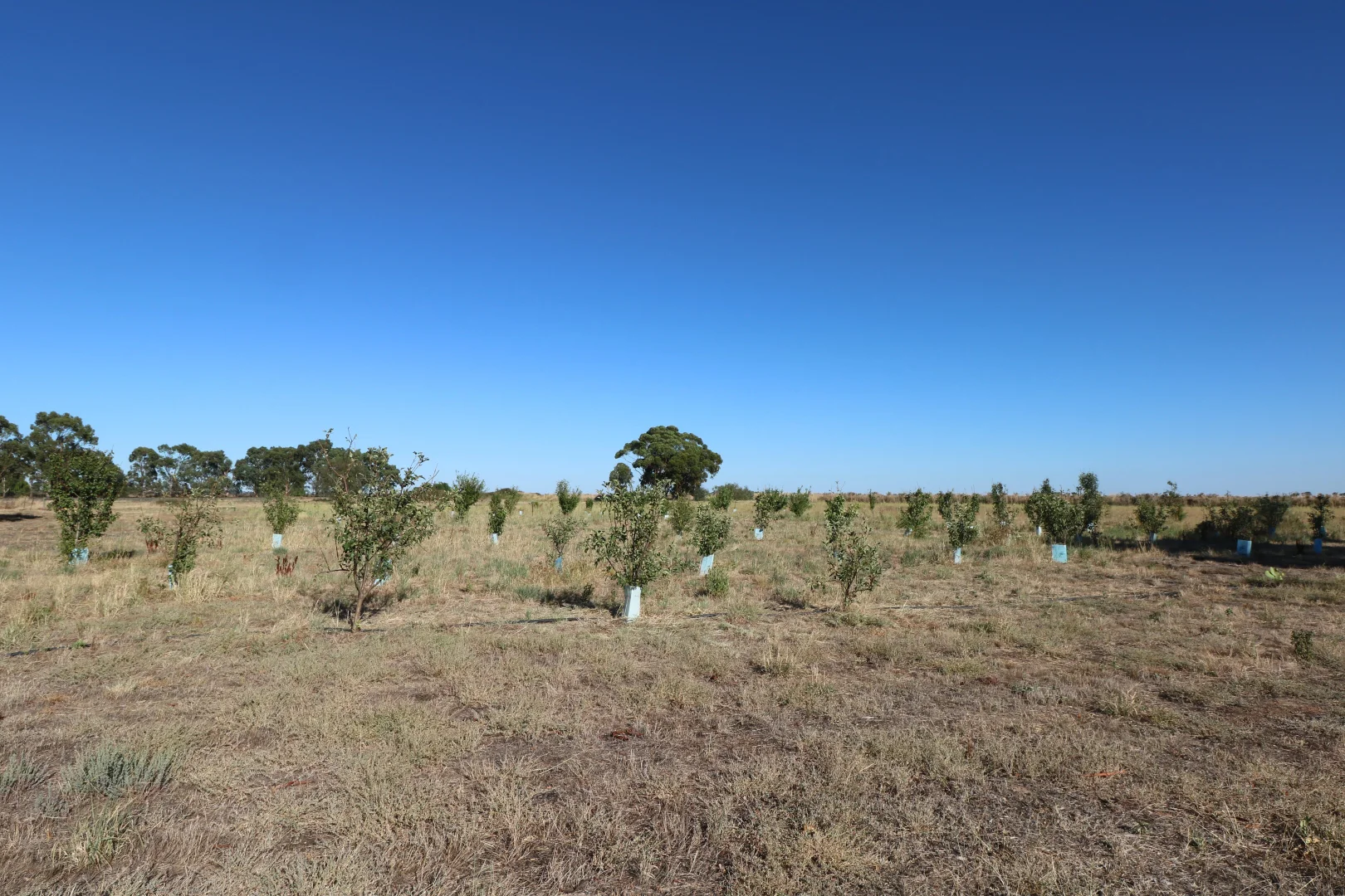 Additional image 16 of 53 Mincha North Road, Mincha VIC 3575