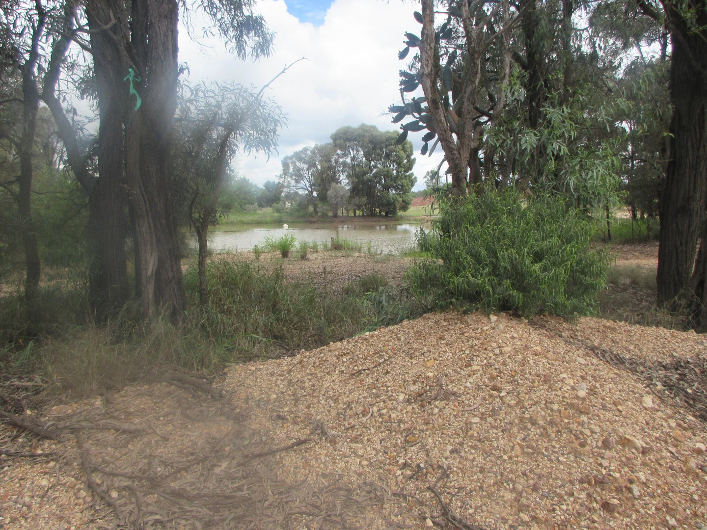 Additional image 7 of 87 Undulla Creek Road, Tara QLD 4421