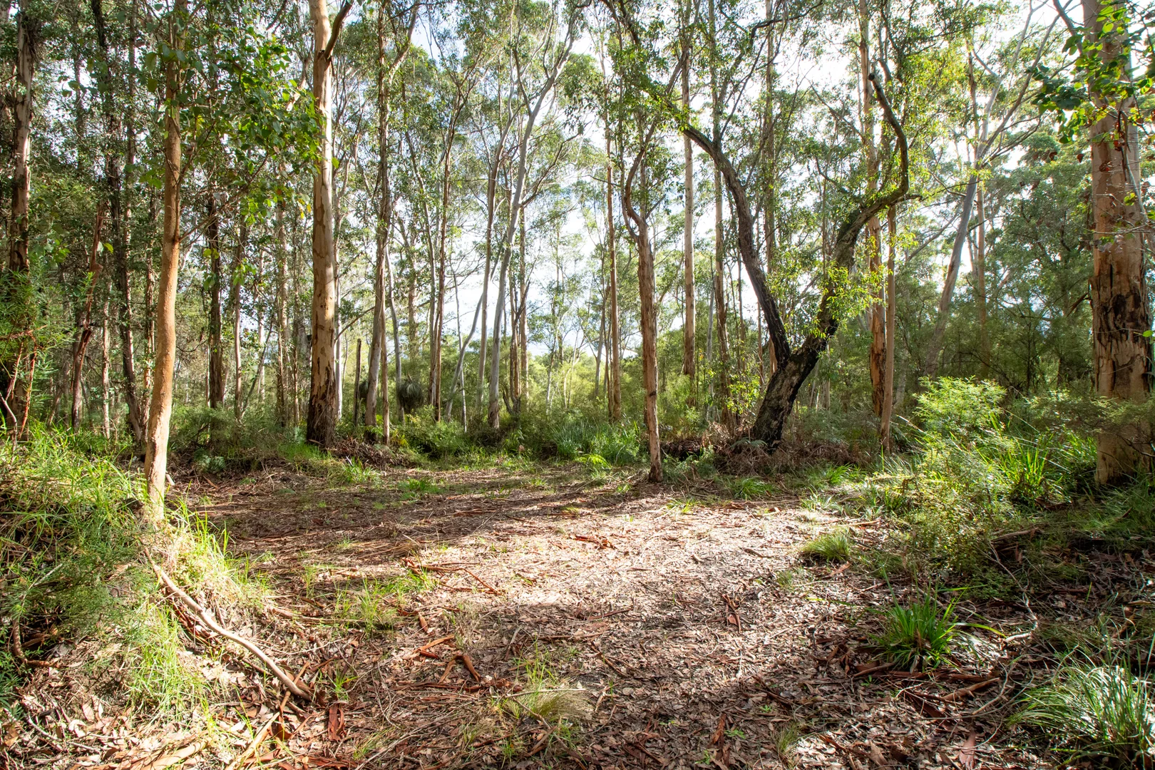 Additional image 14 of 12 Tulley Road, Denmark WA 6333