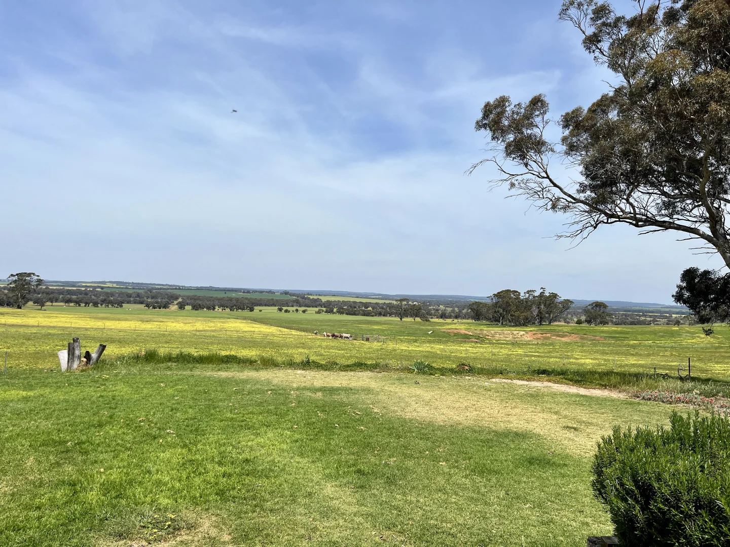 Additional image 22 of 547 Bunmulling Road, Popanyinning WA 6309