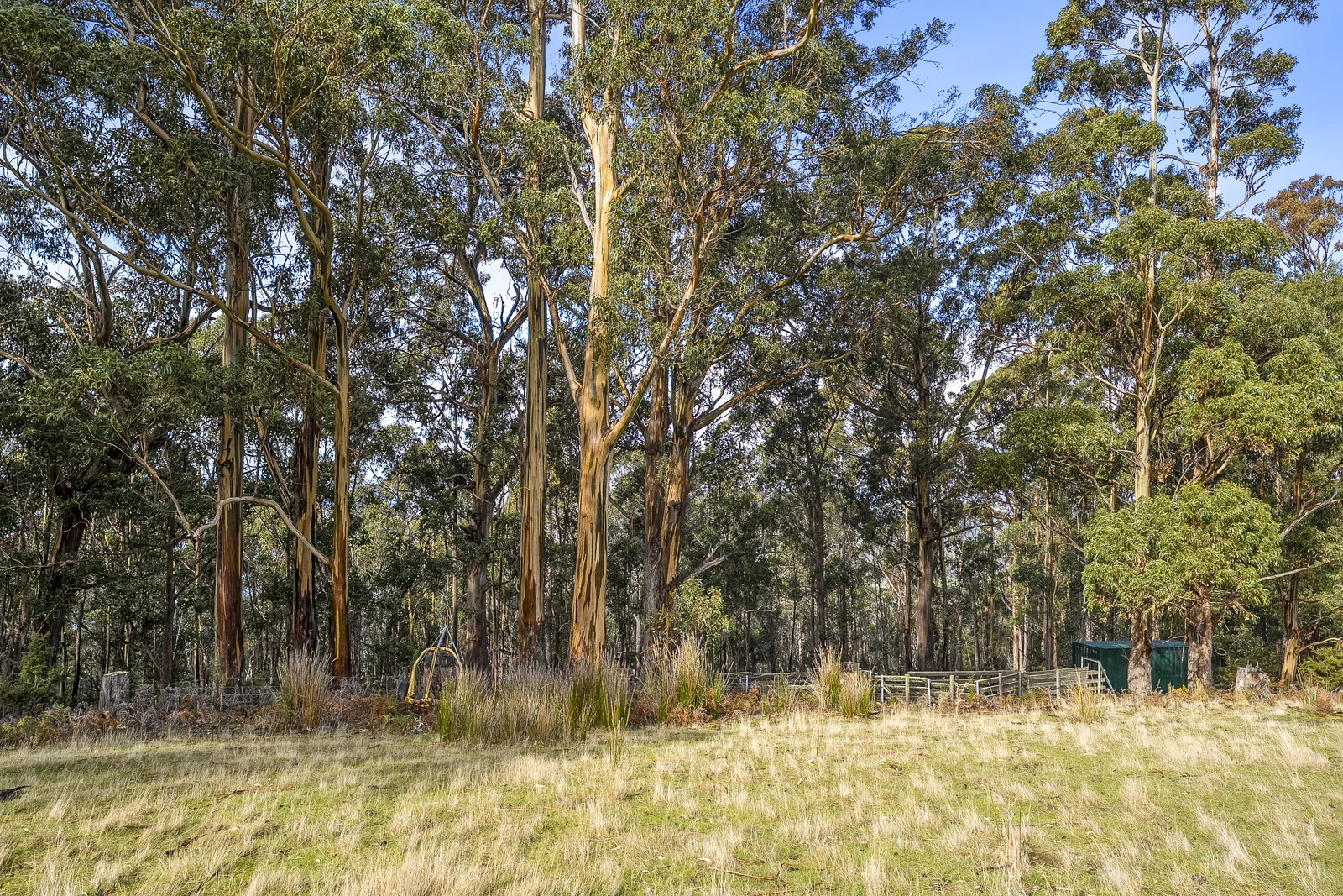 Additional image 16 of Lot 1 Longmans Road, Snug TAS 7054