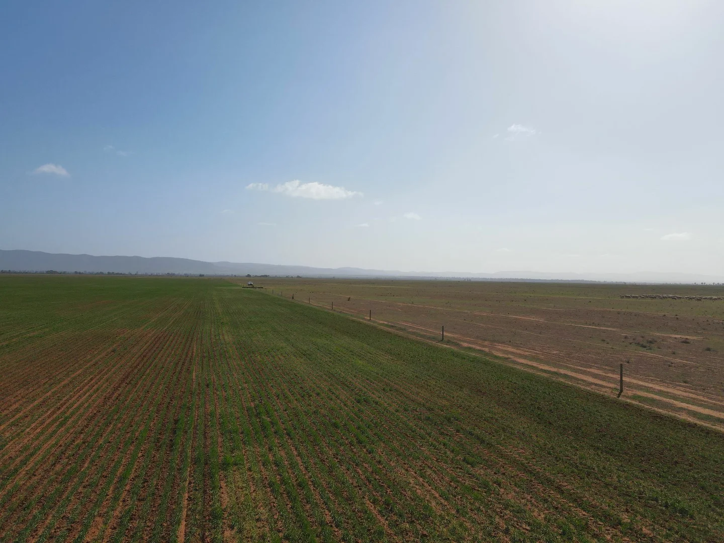 Additional image 15 of 'Daly's' Collins Road, Willowie SA 5431