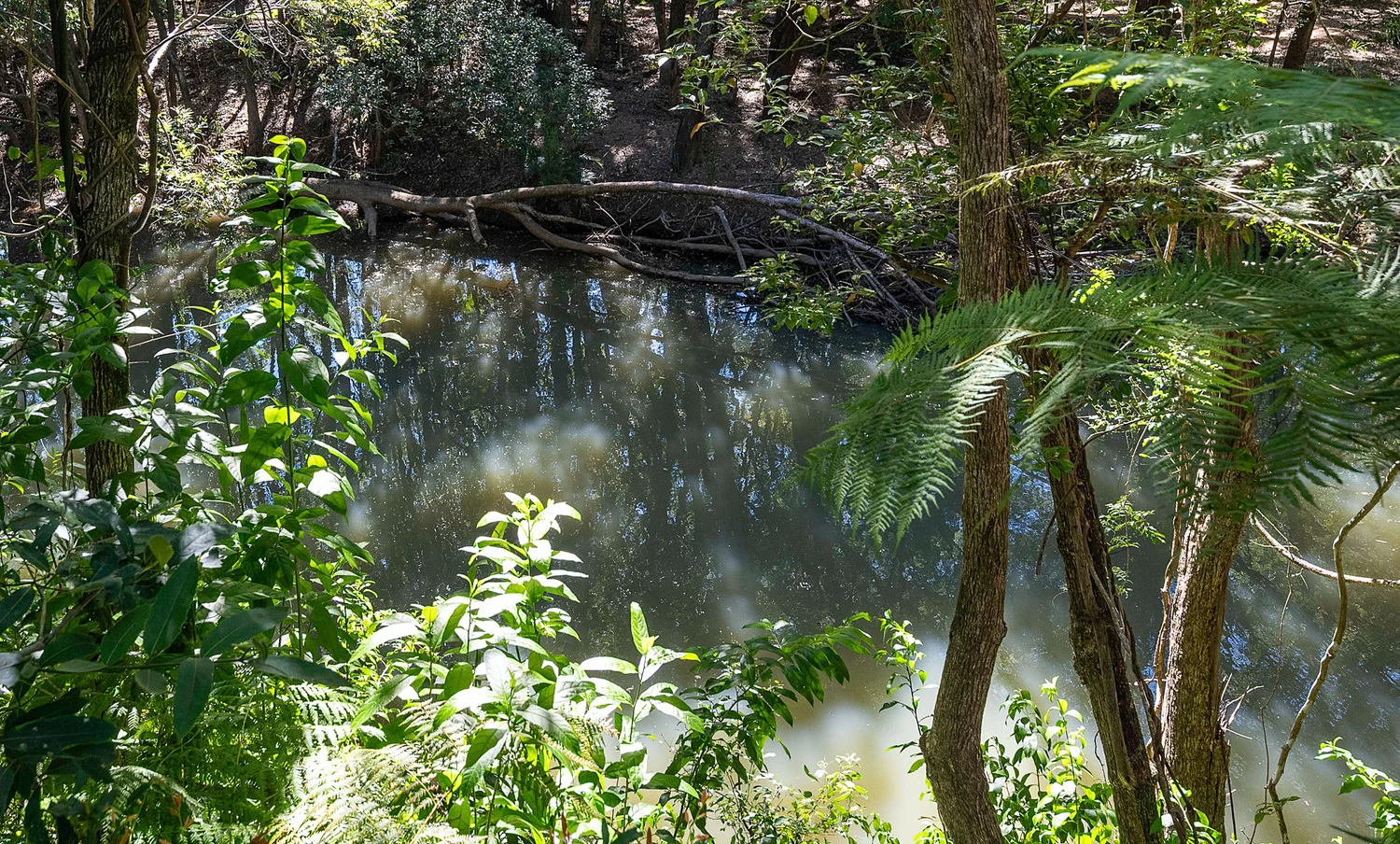 Additional image 22 of 20 Azalea Street, Mullumbimby NSW 2482