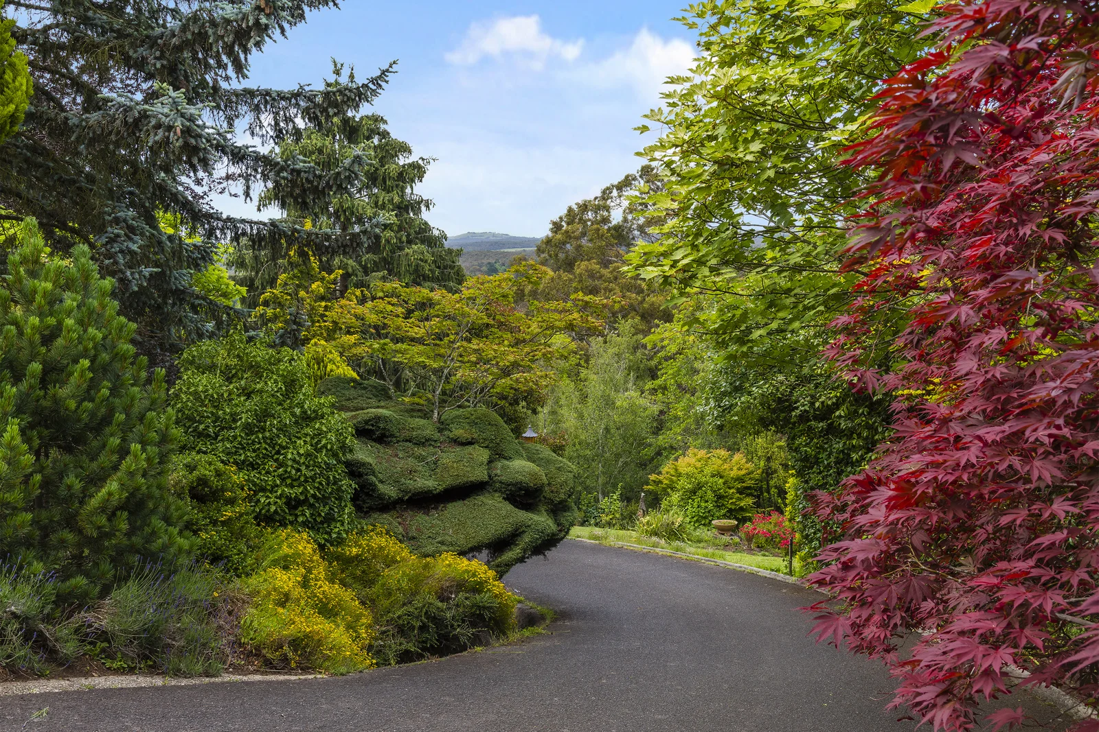 Additional image 35 of 610 Mount Macedon Road, Mount Macedon VIC 3441