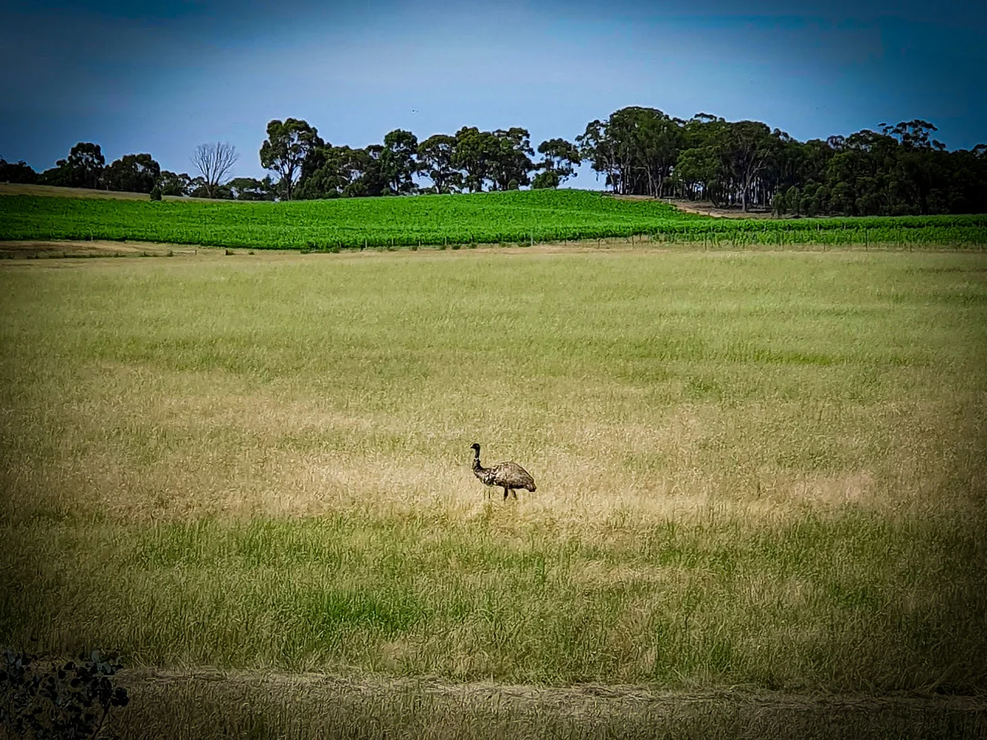 Additional image 13 of 58 Drummonds Lane, Heathcote VIC 3523