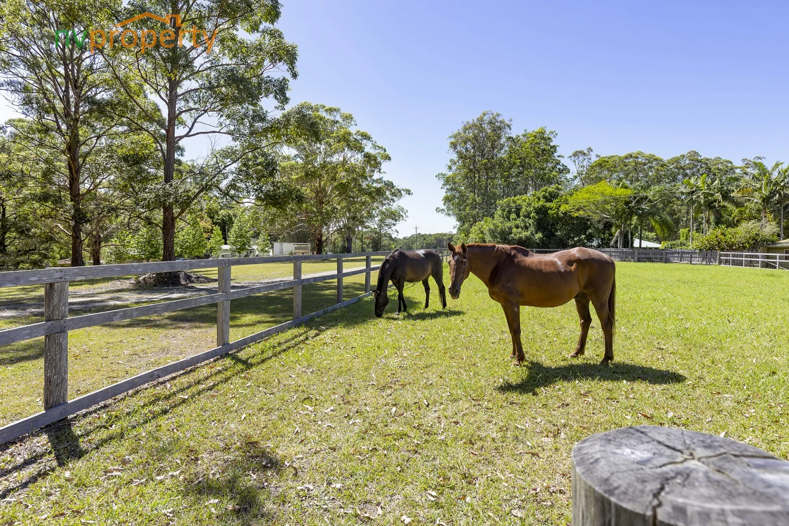 Additional image 7 of 255 Stuarts Point Road, Barraganyatti NSW 2441