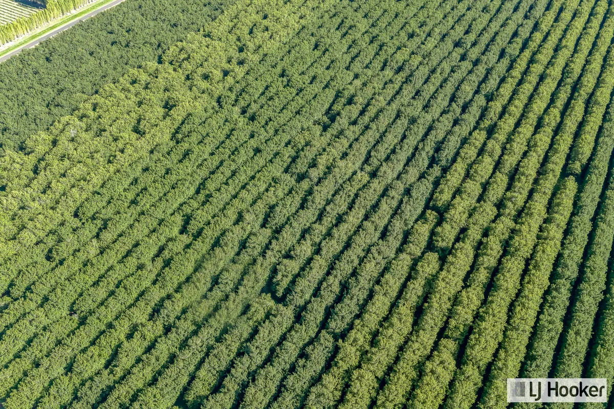 Additional image 41 of 214 Thomasens Road, Alloway QLD 4670