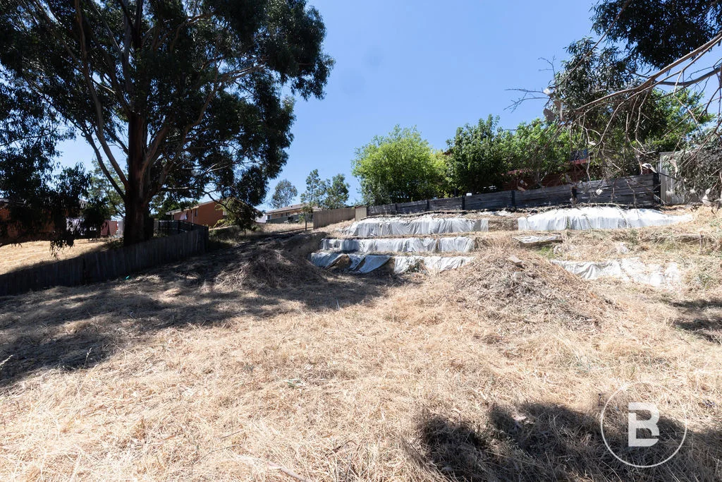 Additional image 7 of 14 Saunders Close, Mount Pleasant VIC 3350