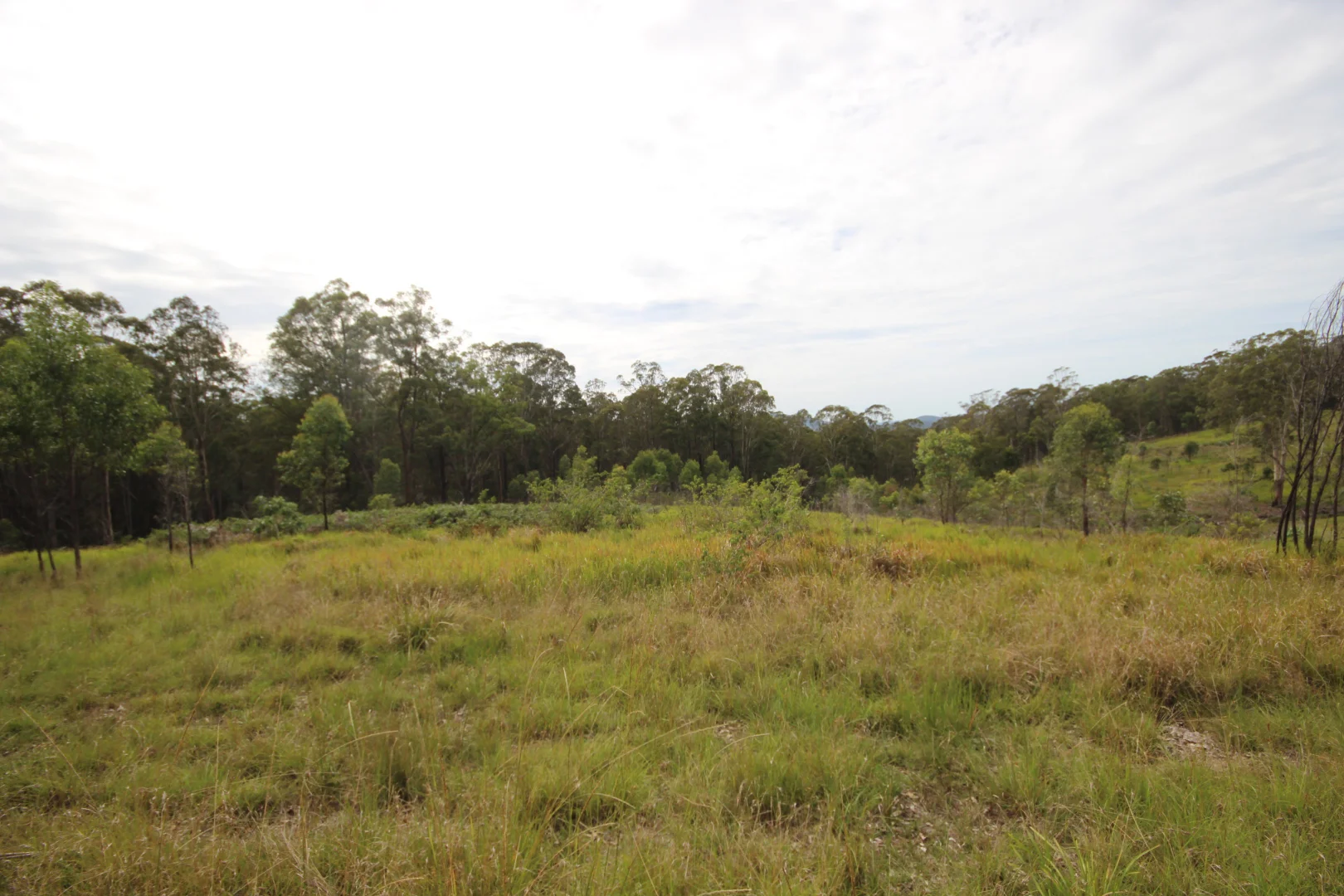 Additional image 8 of 702 Comboyne Road, Byabarra NSW 2446