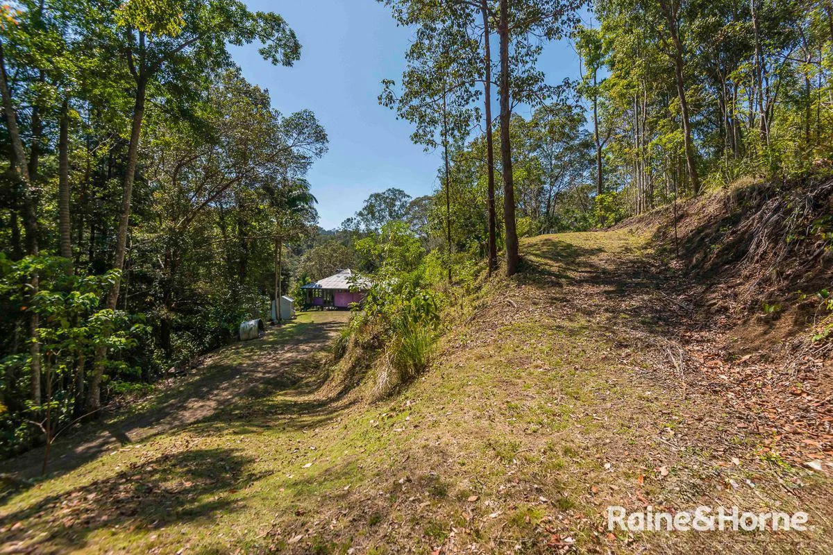 Additional image 16 of 7/321 Blackhorse Road, Eden Creek via, Kyogle NSW 2474