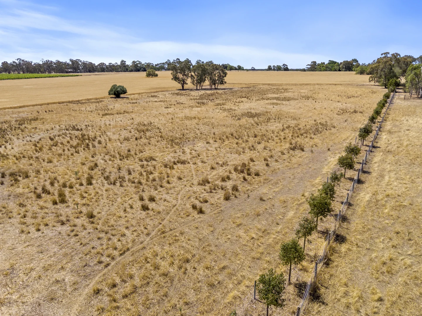 Additional image 32 of 4572 Murray Valley Highway, Rutherglen VIC 3685