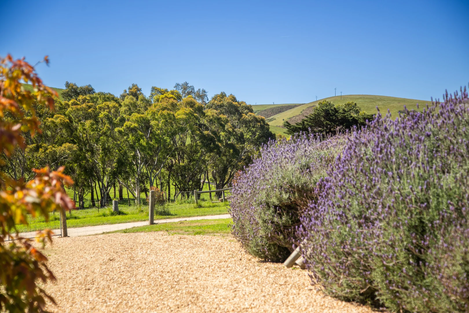 Additional image 31 of 48 Bullaparinga Crescent & 8 Stockyard Hill Rd, Delamere SA 5204