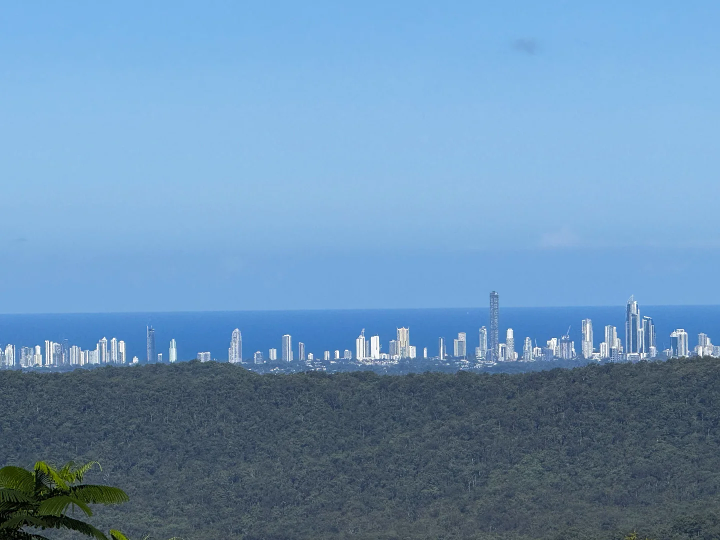 Additional image 12 of 21 Wildflower Court, Clagiraba QLD 4211