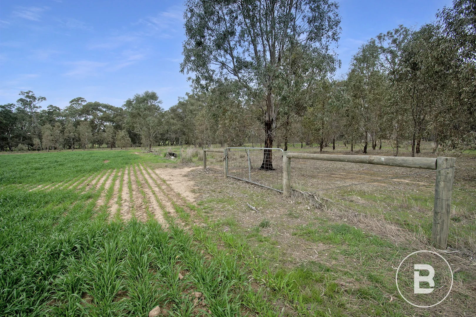 Additional image 20 of 174 Timor Bromley Road, Timor VIC 3465